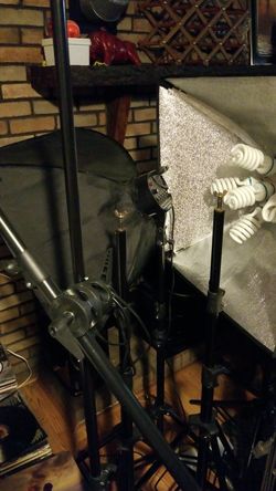 Photography lights with green screen