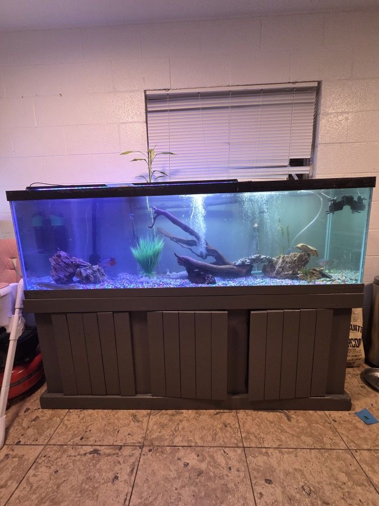 Fish Tank and Stand 140 Gallons
