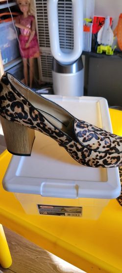 Used Shoes 