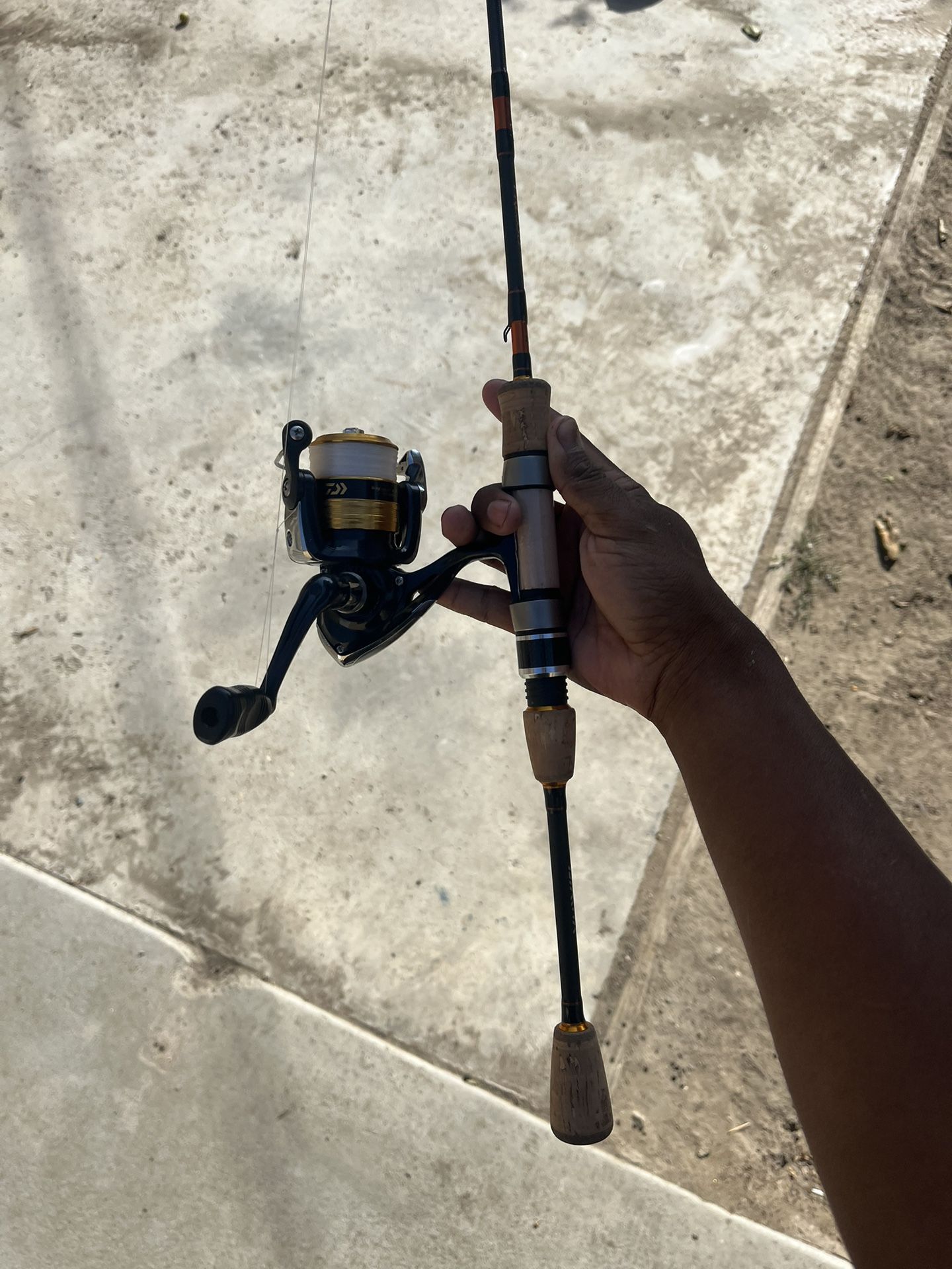 Fishing Rod And Reel