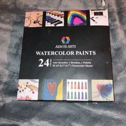 Lightly Used Professional Level Paint