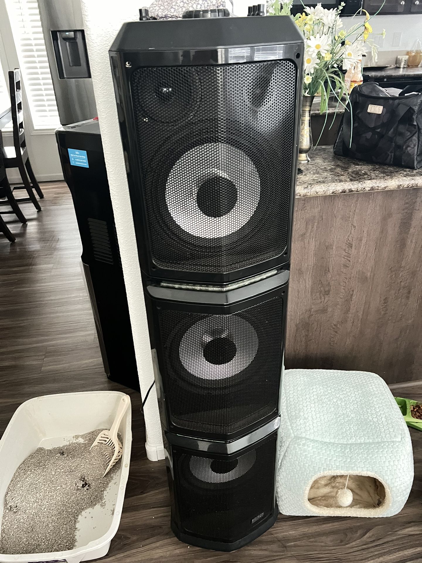 Edison Professional, Bluetooth Speaker