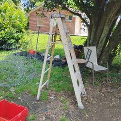 8ft Greenbull Ladder