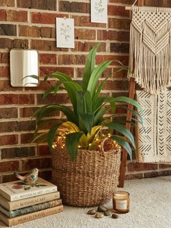 Large Woven Seagrass Basket Planter