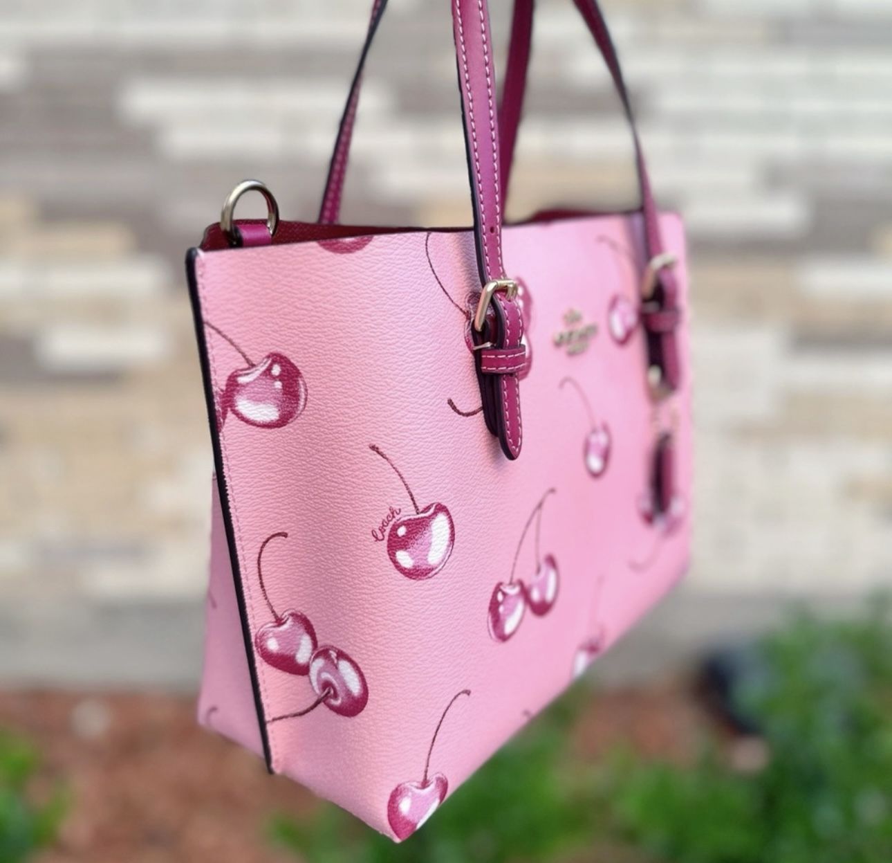 Coach Mollie Tote Bag 25 With Cherry Print