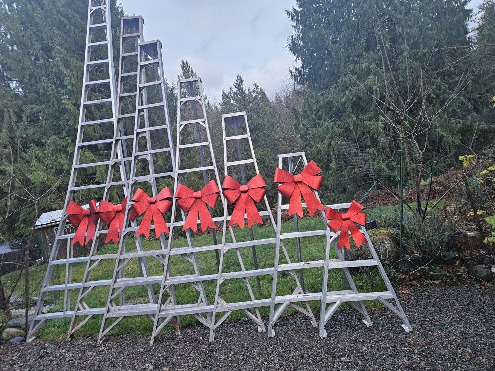 Orchard Ladders 