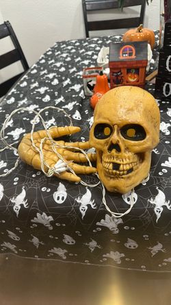 Skull