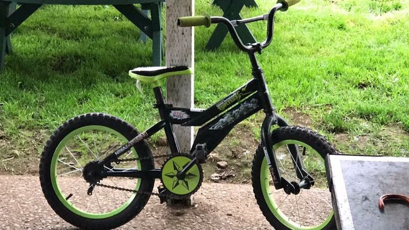 Ninja turtle boy bike