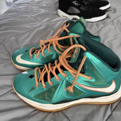 Men LeBron Shoe Collectible 