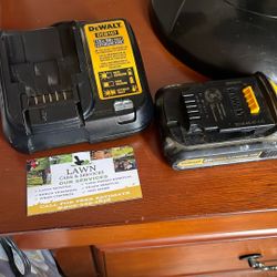Dewalth Battery And Charger