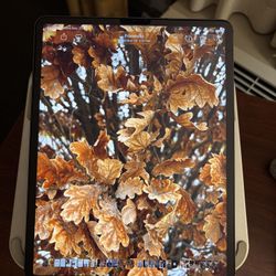 Mint Condition Ipad Pro 12.9 Inch Wi-Fi Cellular 512GB (5th Gen) 