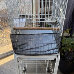 Bird Cage 
