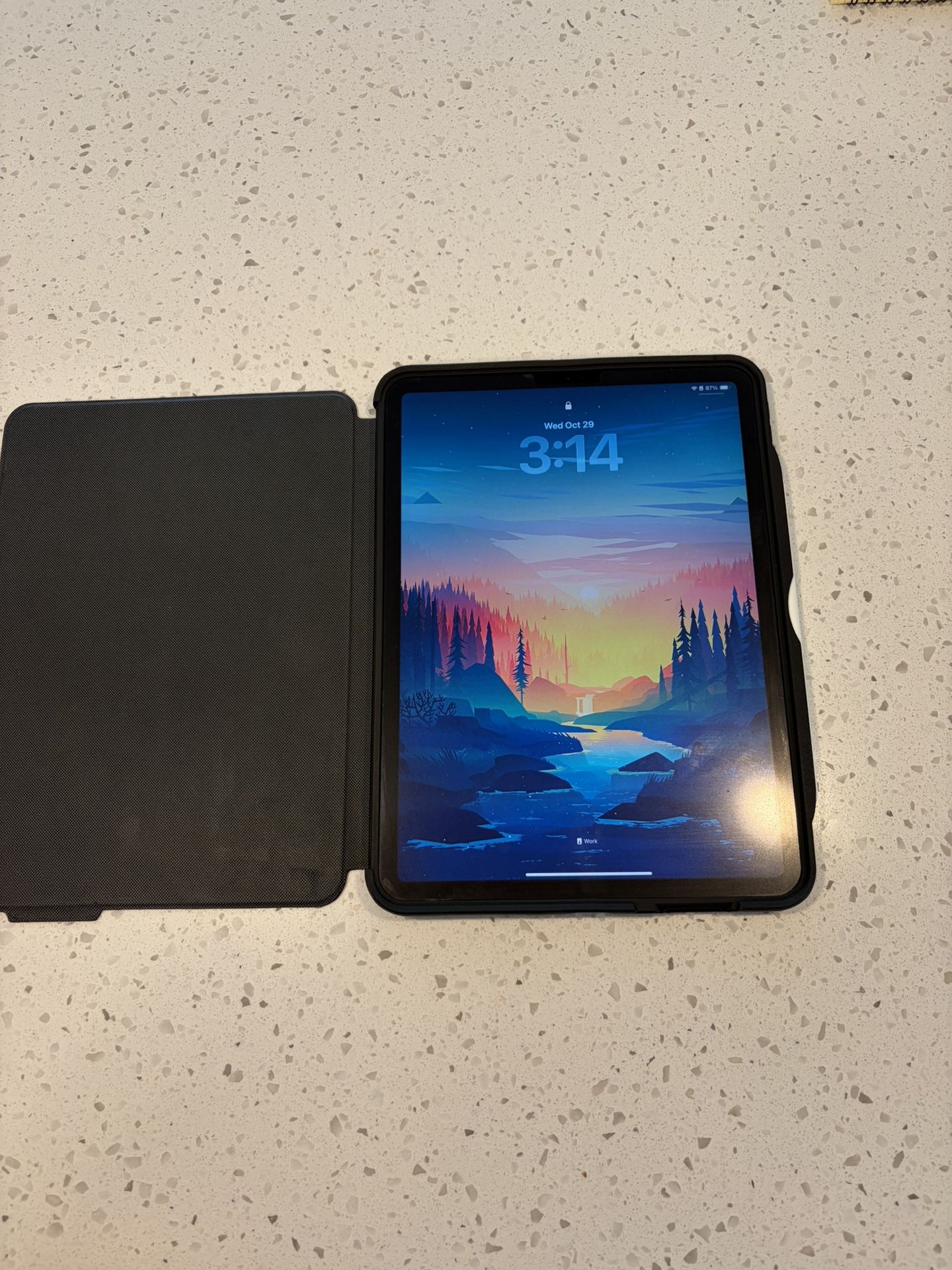 iPad Pro 128gb (2nd Gen)