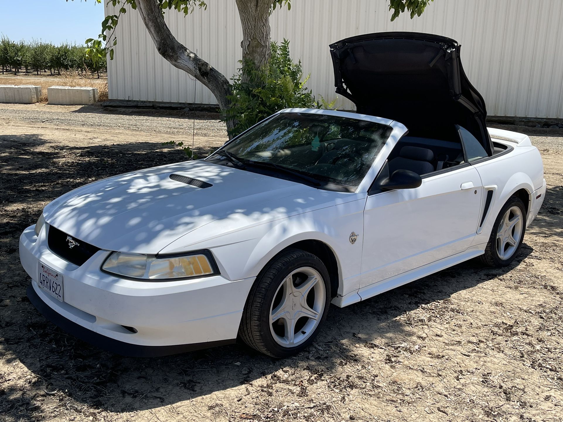 1999 Ford Mustang
