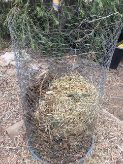 Chicken Feeder