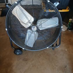 Fan
