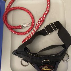 dog leash And Harness For Dog Trainer.