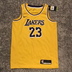 Nike LeBron James Los Angeles LA Lakers Swingman Jersey Size Small MSRP:$110