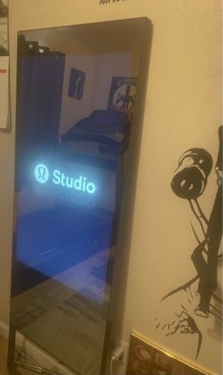 The Mirror gym Workout Mirror