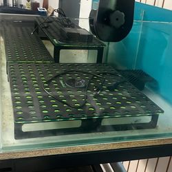 Frag Tank
