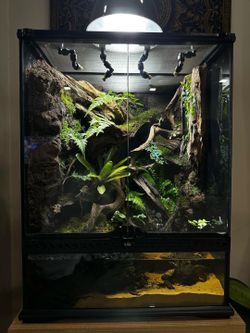 Living Reptile Enclosures
