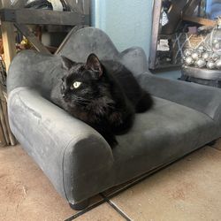 pet loveseat sofa 