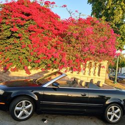 Audi A4 Convertible - Gas Saver