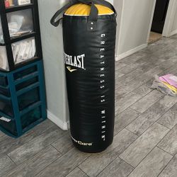 Punching Bag Gently Use Indoors