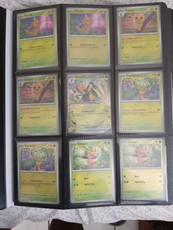 Pokémon Chaos Rising Set