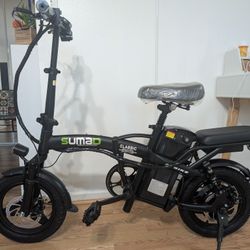 Folding Electric Bike 