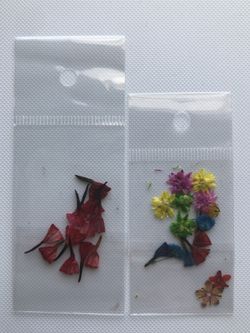 Dried Flowers For nails