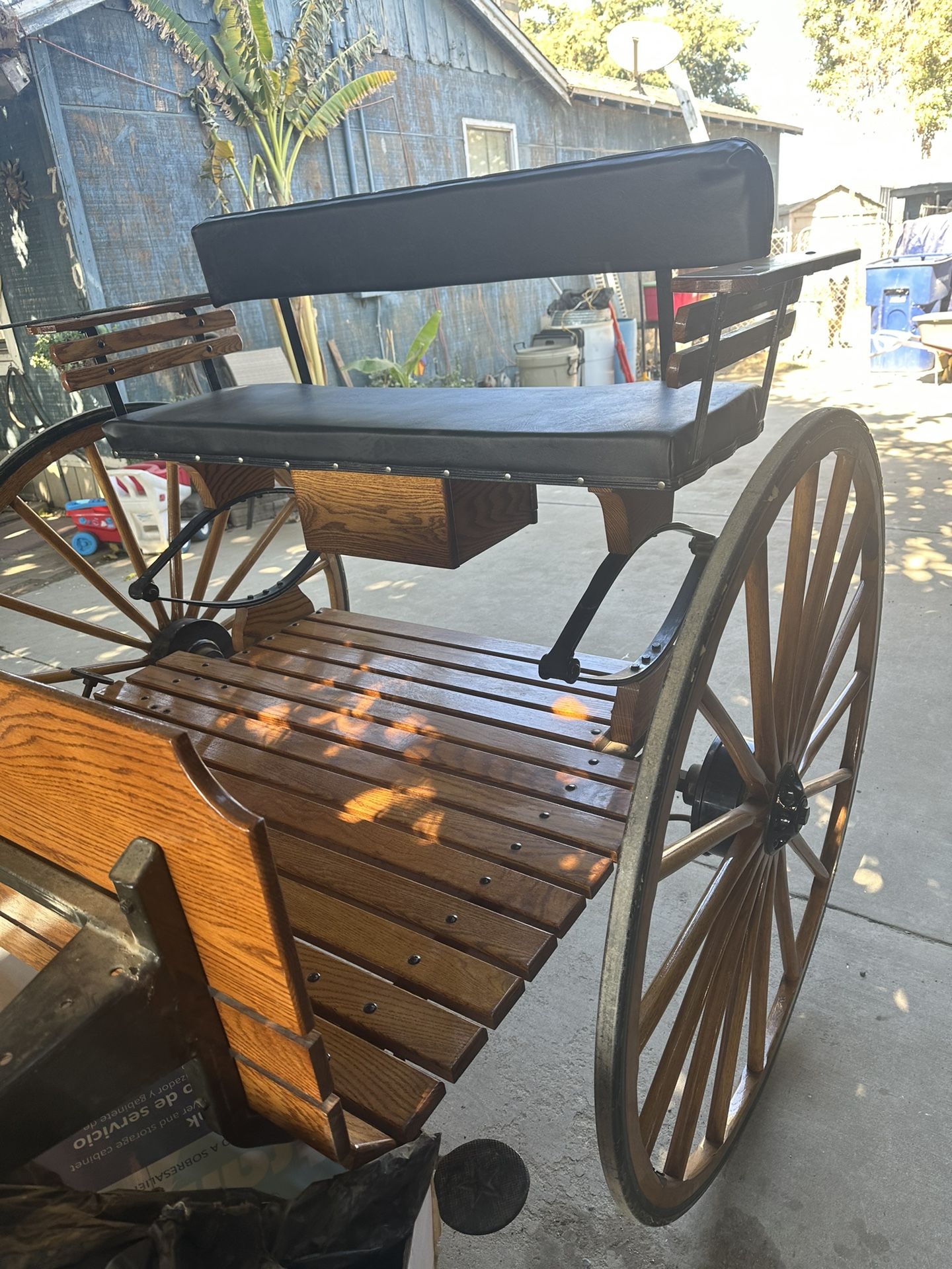 Horse Carriage