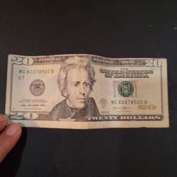$20 Bill