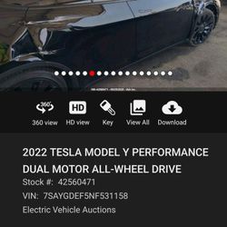 2022 Tesla Model Y