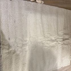 Area Rug