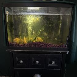 Large Aquarium 40–55 Gallon – Great Condition