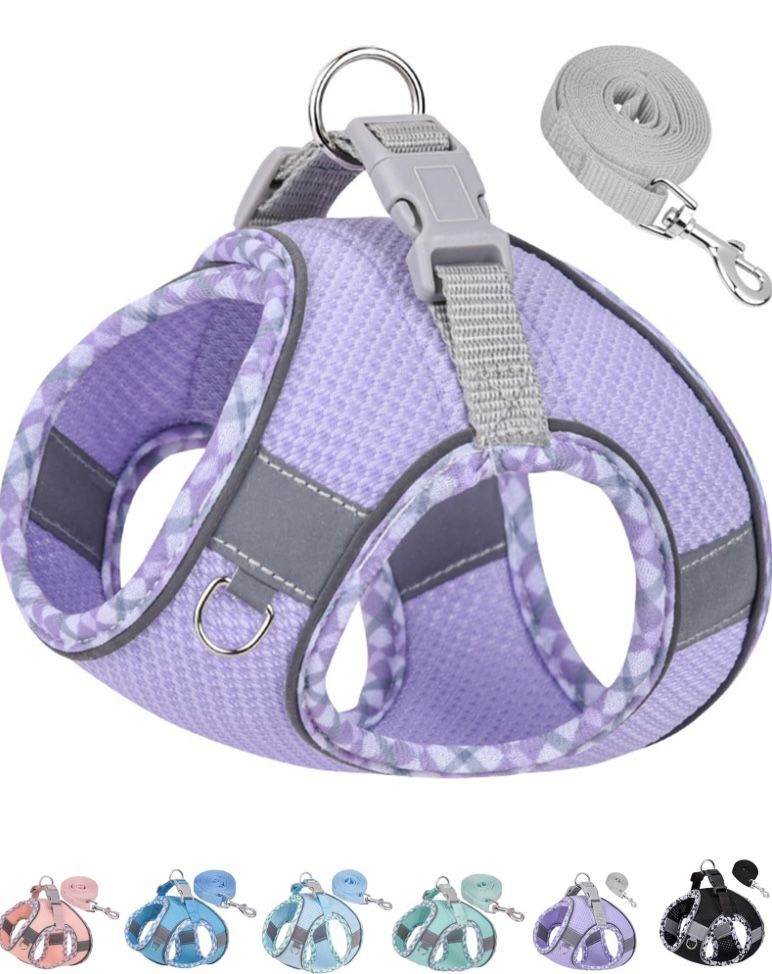 Petank Small Purple Dog Harness & Leash NEW!