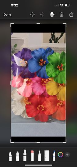 Flowers 🌺 For Hair 