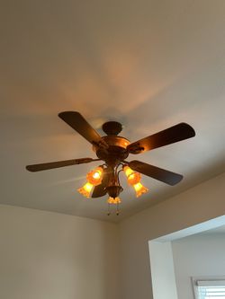 Fan