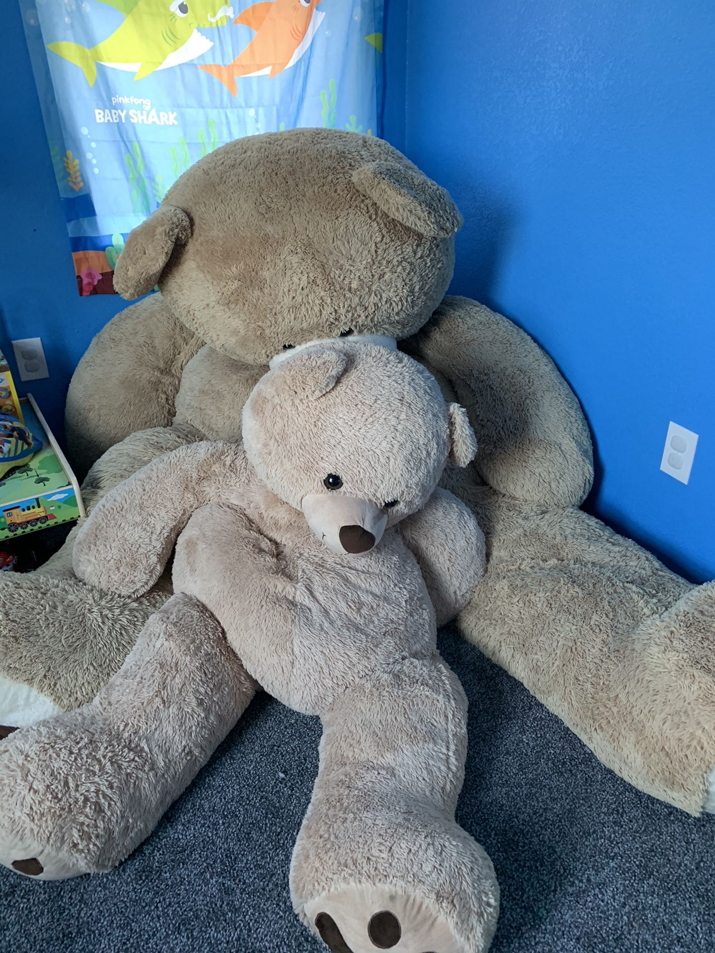 Big bears