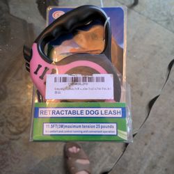 Retractable Leash Dog