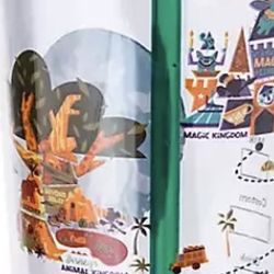 Disney World Starbucks Tumblr