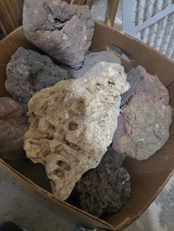 Live Rocks For An Aquarium