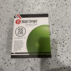 Body Sports Fitness Ball