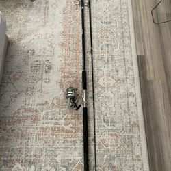 Fishing Rod And Reel
