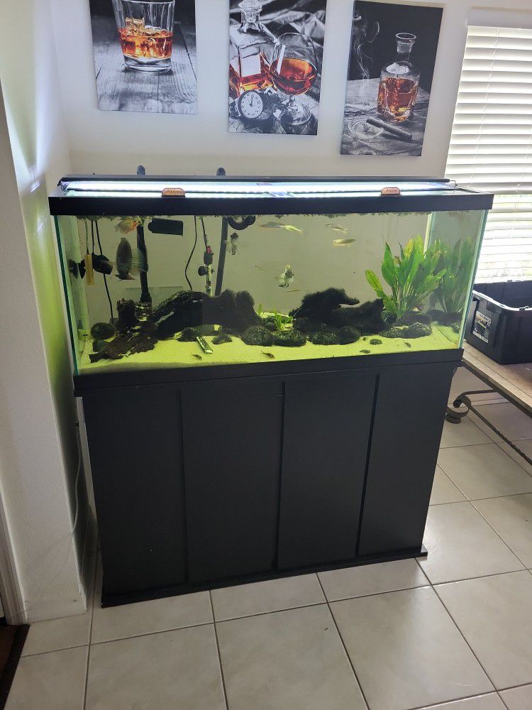 75 Gallon Fish Tank, Stand And Filter