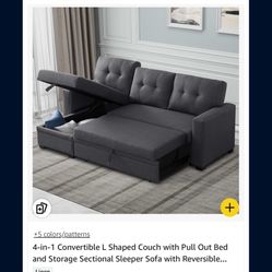 Couch Pullout Bed