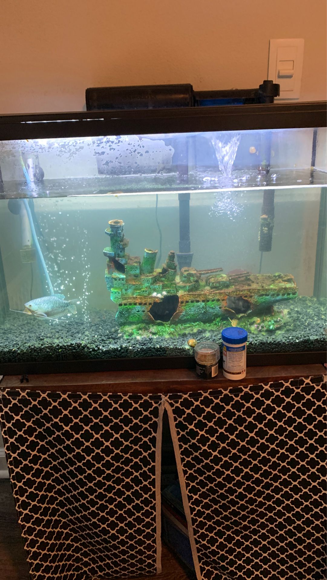29 gallon fish tank with fish