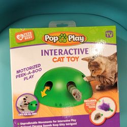 Fun Kitty Toy