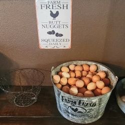 Fresh Eggs